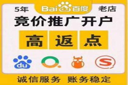 百度推广公司的成功案例：如何实现广告投资回报最大化